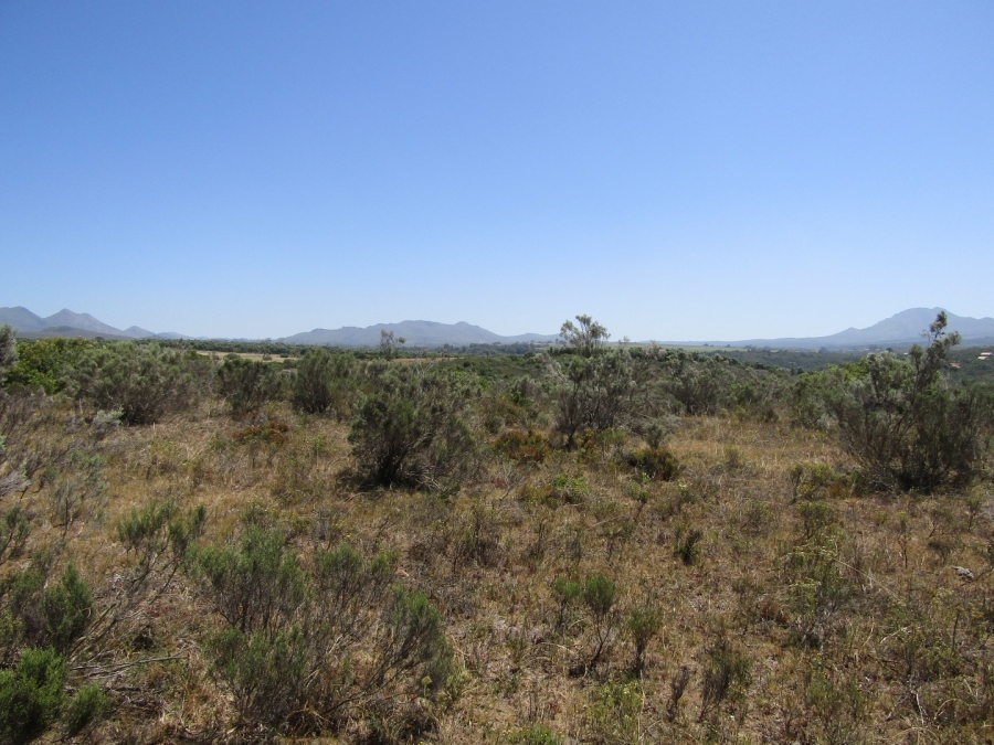 0 Bedroom Property for Sale in Humansdorp Rural Eastern Cape